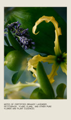 shampure™ vegan soy wax candle