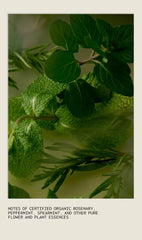 rosemary mint bath bar